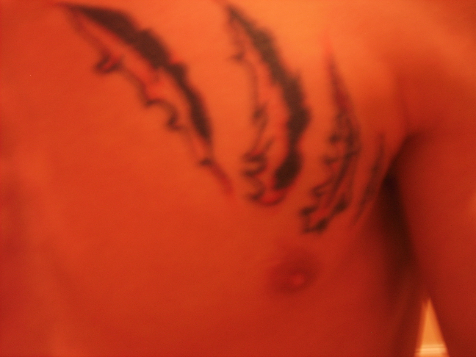 PICT0047.JPG